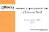 Desafios e Oportunidades para o Biogás no Brasil · 2015. 10. 19. · Marco Regulatório do Biogás no Brasil Resolução 482/2012 Mini e micro geradores de energia conectados em