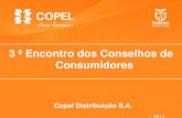 3 º Encontro dos Conselhos de Consumidores · 3 º Encontro dos Conselhos de Consumidores . Agenda 1. Contextualização –Estrutura da Copel –Sistema Elétrico –Composição