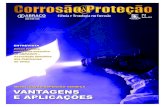 Associação Brasileira de Corrosão - Ano 9 Nº 44 Nº 43 Nov/Dez … · 2019. 11. 15. · dealizado pelo Instituto de Metais Não Ferrosos (ICZ), foi realizado em dezembro de 2012,