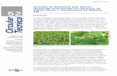Extração de Nutrientes pelo Leiteiro Euphorbia heterophylla … · 2016. 8. 3. · Extração de Nutrientes pelo Leiteiro (Euphorbia heterophylla) em Sistemas de Plantio Direto