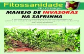 MANEJO DE INVASORAS NA SAFRINHAzeamays.hospedagemdesites.ws/wp-content/uploads/2013/05/... · 2013. 5. 29. · milho safrinha, com destaque para o ca-pim-carrapicho (Cenchrus echinatus)