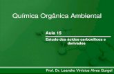 Química Orgânica Ambientalprofessor.ufop.br/sites/default/files/legurgel/files/... · 2015. 6. 2. · Química Orgânica Ambiental Prof. Dr. Leandro Vinícius Alves Gurgel Aula