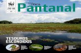 Pantanal · 2018. 7. 3. · V 04 2018 PANTANAL 1 Pantanal REVISTA CIÊNCIA Vol.04 / no 01 / 2018 / ISSN 2357-9056 TESOUROS ESCONDIDOS Parte da riqueza de espécies pantaneiras vem