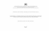 Jurema Regueira - dissertação de mestrado - PPGEO-UFPE ......início do século XXI: uma proposta de tipologia para municípios de fronteira. Dissertação de mestrado. Programa