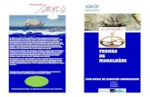 MAGALHÃES - Ribadouro · 2020. 1. 6. · homenagem aos 500 anos da Viagem de Circum-Navegação de Fernão de Magalhães enquadrada na execução do programa das Comemorações do