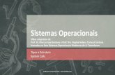 ANÁLISE E COMPLEXIDADE DE ALGORITMOS - Ariel Diasarieldias.com/material/2019-1/SO/Aula2n.pdf · Roteiro - Nesta aula Tipo e Estrutura de Sistemas Operacionais Chamadas ao Sistema