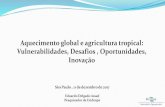 Aquecimento global e agricultura tropical ... · Pagamento por Serviços Ambientais ... Embrapa Soja - Londrina/PR Deficiência Retirada Precipitação ETP ~50 dias c/ ~44mm. In the