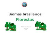 BIOMAS BRASILEIROS - FLORESTAS...Entre os biomas brasileiros, são os que apresentam maior diversidade de plantas. Esses dois biomas apresentam algumas características que os diferenciam: