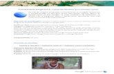 Aula-Atividade Google Earth : Contando histórias que ... · Aula-Atividade Google Earth : Contando histórias que conectam povos Através de imagens localizadas no território Suruí