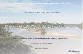 Elaboração do Plano de Recursos Hídricos da Bacia ... · Elaboração do Plano de Recursos Hídricos da Bacia Hidrográfica do Rio Verde Grande Contrato N° 031/ANA/2008 ECOPLAN