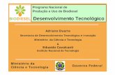 Redetec – Rede de Tecnologia e Inovação do Rio de Janeiro - - 2ª … · 25/03/04 Programa de Produção e Uso do Biodiesel Comissão Executiva Interministerial Estado da Arte: