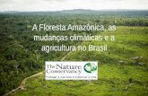 A Floresta Amazônica, as mudanças climáticas e a ... · AMAZÔNIA BRASILEIRA Maior que a Europa Ocidental!!! Bioma amazônico • 5,2 milhões de km2 no Brasil • 61% do território