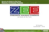 Governo do Estado de São Paulo Sistema Ambiental Paulista€¦ · Coordenadoria de Planejamento Ambiental Departamento de Informações Ambientais Centro de Integração e Gerenciamento