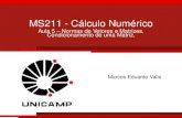 MS211 - Cálculo Numéricovalle/Teaching/MS211/Aula05.pdf · 2017. 8. 15. · Aula 5 – Normas de Vetores e Matrizes. Condicionamento de uma Matriz. Marcos Eduardo Valle. Na aula