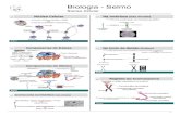 Biologia - Selmo€¦ · Biologia - Selmo . 2 Exercícios Questão 01 - (UNISA SP) Nas experiências de merotomia da ameba e da Acetabulária (alga verde, unicelular e grande), podemos
