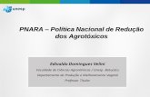 PNARA Política Nacional de Redução dos Agrotóxicos€¦ · O próprio conceito de produtividade agrícola (t/ha) é indispensável para comparar a eficiência agrícola de países,