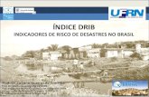 INDICADORES DE RISCO DE DESASTRES NO BRASIL€¦ · susceptibility coping adaptive vulnerability brejo de areia . ma : 0,594 0,885 0,829 0,769 . ipixuna . am . 0,827 0,644 0,641 0,704