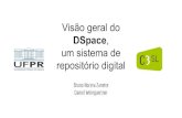 Visão geral do DSpace um sistema de repositório digital€¦ · Visão geral do DSpace, um sistema de repositório digital Bruno Nocera Zanette Daniel Weingaertner