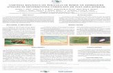 Controle Biológico do Percevejo-de-Renda da Seringueira ...€¦ · ministÉrio da agricultura, pecuÁria e abastecimento abstract material e mÉtodos discussÃo conclusÕes referÊncias