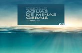 COMPARTILHANDO EXPERIÊNCIAS DAS ÁGUAS DE MINAS GERAISportalinfohidro.igam.mg.gov.br/images/CH002618_Experincia_das_íg… · C737 Compartilhando experiências das águas de Minas