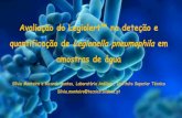 Avaliação do Legiolert™ na deteção e - iberlab · 2018. 4. 26. · Avaliação do Legiolert™ na deteção e quantificação de Legionella pneumophila em amostras de água
