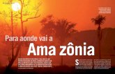 Para aonde vai a ama zônia - Sua revista de Meio Ambiente ...€¦ · O alerta preocupa. Em 2007, a incidên-cia de queimadas na Amazônia aumentou, segundo as imagens de satélite