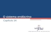 O sistema endócrino · O sistema endócrino Capítulo 14 . O sistema endócrino FUNÇÃO junto com o SISTEMA NERVOSO REGULA e CONTROLA todas as funções do corpo . As glândulas