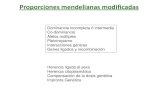 Proporciones mendelianas Epistasia: un alelo de un gen enmascara la expresi£³n de los alelos de otro