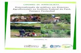 Sistematização de práticas em Sistemas Agroflorestais no ... · do projeto ―Consolidação de um espaço de produção de pesquisa e ... A redução do uso de herbicidas e pes-