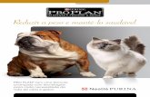 New PRO PLAN tem uma fórmula - Amazon S3 · 2016. 6. 14. · Conheça a solução nutricional de PRO PLAN® para redução de peso em cães e gatos. Utilize o escore corporal para