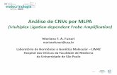 Análise de CNVs por MLPA - Planejamento e Organização...Mariana F. A. Funari marianafunari@usp.br Laboratório de Hormônios e Genética Molecular – LIM42 Hospital das Clínicas