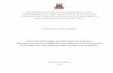 UNIVERSIDADE ESTADUAL DO SUDOESTE DA BAHIA COLEGIADO …€¦ · Monografia apresentada como requisito para obtenção do título de Licenciado em Matemática no curso de Licenciatura