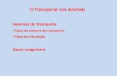 O Transporte nos Animais - Webnode · O Transporte nos Animais Sistemas de Transporte ... Sisteme dc transporte fechado . brånqulas arteria aorta brånquias artéria branquial sei0