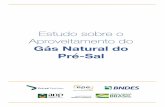 Gabriel de Figueiredo da Costa - ANP · 2020. 3. 25. · aproveitamento do Gás Natural (GN) do Pré-Sal, tendo como foco o incremento da sua comercialização e participação na