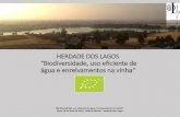 HERDADE DOS LAGOS “Biodiversidade, uso eficiente de água …...“Biodiversidade, uso eficiente de água e enrelvamentos na vinha” Évora, 05 de Abril de 2019 - Helena Manuel