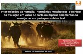 Inter-relações da nutrição, hormônios metabólicos e ...§ões-da... · Inter-relações da nutrição, hormônios metabólicos e reinicio da ovulação em vacas de corte multíparas