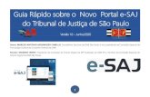 Guia Rápido sobre o Novo Portal e-SAJ do Tribunal de ...¡pid… · 1 Guia Rápido sobre o Novo Portal e-SAJ do Tribunal de Justiça de São Paulo Versão 1.0 – Junho/2020 Autor: