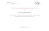 Dissertação apresentada com vistas à obtenção do título de …bvssp.icict.fiocruz.br/pdf/25770_frotalcmm.pdf · 2010. 6. 21. · PNIIS - Política de Informação e Informática