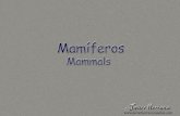 javierherranzcasellas.comjavierherranzcasellas.com/wp-content/uploads/2017/03/04-Mamifero… · Mamíferos Mammals (O  . T4tVier . (/izr Her