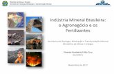 Indústria Mineral Brasileira: o Agronegócio e os Fertilizantes€¦ · indústria de fertilizantes e a difusão de seu uso; O aumento na produção de grãos; Crescimento do consumo
