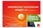 20180606 ACOGEN COGENERACION y AUTOCONSUMO …...COGENERACION Y AUTOCONSUMO: Marco Normativo, Situación y perspectivas Madrid, 6 de junio de 2018 Carmen Soldado Consultor energético