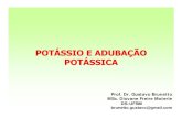Prof. Dr. Gustavo Brunetto MSc. DiovaneFreire Moterle DS-UFSMw3.ufsm.br/solos/antigo/PDF/manejo%20e%20fertilidade%20... · 2008. 5. 28. · Prof. Dr. Gustavo Brunetto MSc. DiovaneFreire