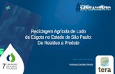 Reciclagem Agrícola de Lodo de Esgoto no Estado de São Paulo: De …abconsindcon.com.br/wp-content/uploads/2018/08/7º-ENA-T5... · 2020. 8. 19. · Regulamenta a Lei 997, de 31/05/1976,