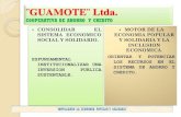 GUAMOTE Ltda. - CONAFIPS€¦ · ¨guamote¨ ltda. cooperativa de ahorro y credito fomentar una cultura de ahorro priorizando el sistema de territorio. institucionalizar los servicios