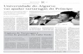 WordPress.com...REGIONAL barlavento I Quinta-feira, 13 de Agosto de 2009 11 bar la vent o. online. Universidade do Algarve vai ajudar tartarugas do Príncipe