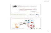 Protocolos e Ferramentas para o Cálculo do Balanço do Carbono · Modelo conceptual do ciclo do carbono na videira * Cluster dos Vinhos da Região do Douro Reserva foto-assimilados