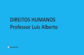 DIREITOS HUMANOS Professor Luis Alberto...b) o Conselho de Direitos Humanos, os altos comissários, os relatores especiais, os comitês criados pelos tratados internacionais e o Tribunal