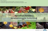 Marco Pavarino Coordenação Geral de Agroecologia e ...€¦ · E A AGRICULTURA FAMILIAR Até 2030, garantir que todos os homens e mulheres, particularmente os pobres e vulneráveis,