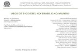 USOS DE BIODIESEL NO BRASIL E NO MUNDO · Usos de Biodiesel no Brasil e no Mundo Brasília, junho de 2015. MINISTÉRIO DA AGRICULTURA, PECUÁRIA E ABASTECIMENTO Câmara Setorial da