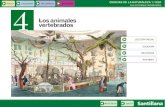 CIENCIAS DE LA NATURALEZA 1.º ESO INICIO ESQUEMA …sandraandujarbiologiaygeologia.es/wp-content/uploads/vertebrados... · Ornitorrinco (Ornithorhynchus anatinus).CIENCIAS DE LA